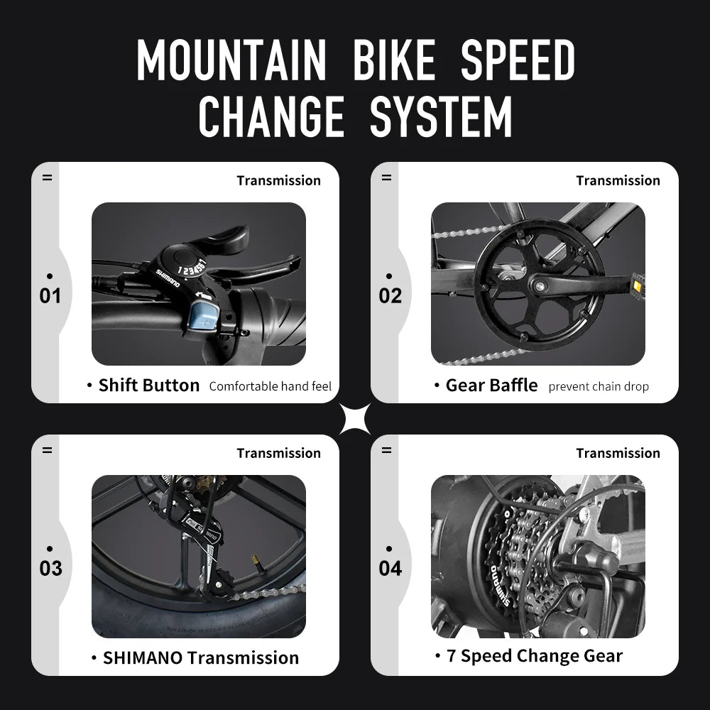 Deepower QS7 1000W Fat Tire Electric Bike Dual Batteries